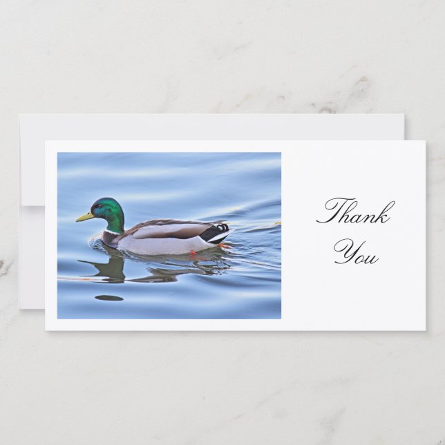 Tarjeta De Agradecimiento Mallard Duck - Gracias (Anverso)