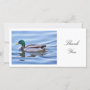 Tarjeta De Agradecimiento Mallard Duck - Gracias