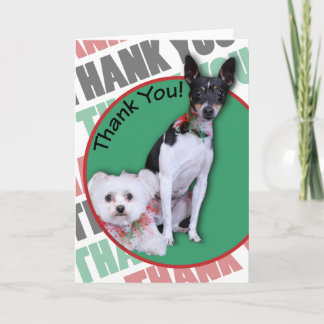 Tarjeta De Agradecimiento Maltés y Fox Terrier Gracias