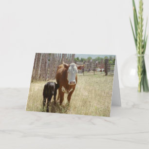 Tarjeta De Agradecimiento Mama Cow Y Calf