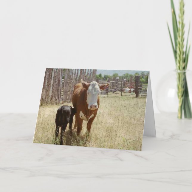 Tarjeta De Agradecimiento Mama Cow Y Calf (Anverso)