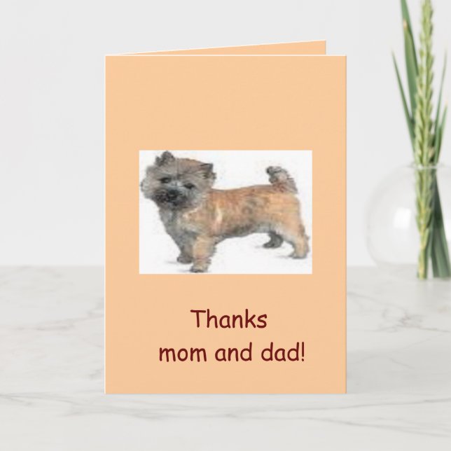 Tarjeta De Agradecimiento Mamá de las gracias (Anverso)