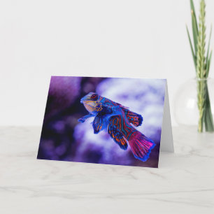 Tarjeta De Agradecimiento Mandarin Goby Fish