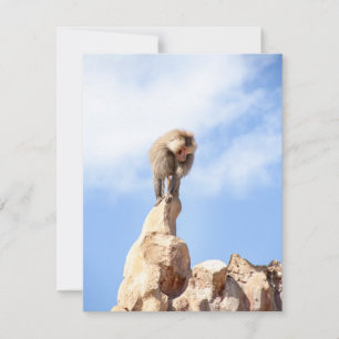 Tarjeta De Agradecimiento Mandríl majestuoso en la cima de la montaña