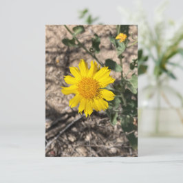 Tarjeta De Agradecimiento Maravilla del Desierto