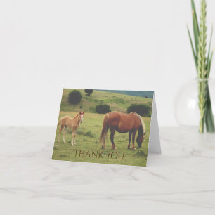 Tarjeta De Agradecimiento Mare y Foal Grazing en Hillside Horse Gracias