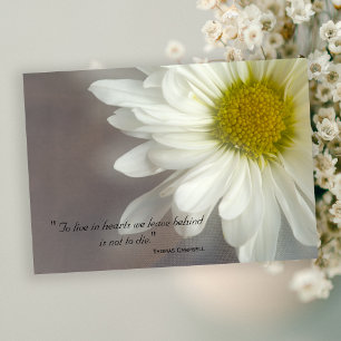 Tarjeta De Agradecimiento Margarita Blanca Suave Gracias por tu simpatía