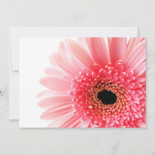 Tarjeta De Agradecimiento Margarita Gerbera Rosa