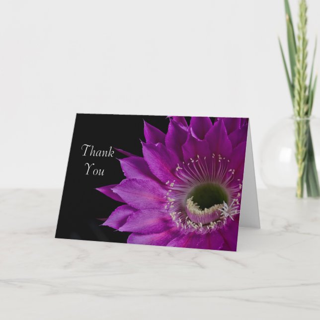 Tarjeta De Agradecimiento Maria Piazza cactus bloom Gracias (Anverso)