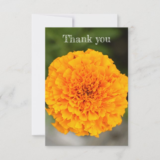 Tarjeta De Agradecimiento Marigold Flat Thank You Card (Anverso)