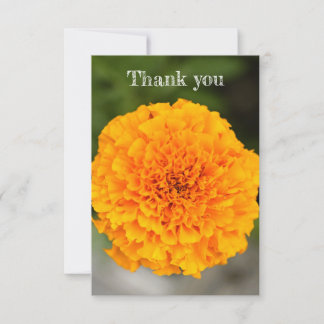 Tarjeta De Agradecimiento Marigold Flat Thank You Card