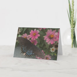 Tarjeta De Agradecimiento mariposa azul