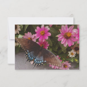 Tarjeta De Agradecimiento mariposa azul