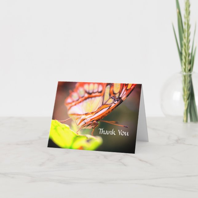 Tarjeta De Agradecimiento Mariposa Cara Naturaleza Gracias (Anverso)