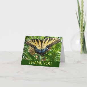 Tarjeta De Agradecimiento Mariposa cola de golondrina II en Shenandoah