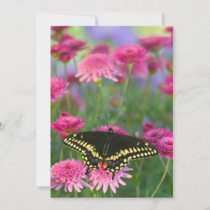 Tarjeta De Agradecimiento Mariposa cola de golondrina negra en flor rosa osc