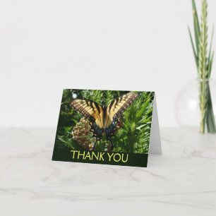 Tarjeta De Agradecimiento Mariposa de cola tragaluz III Bella foto colorida
