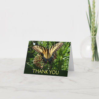 Tarjeta De Agradecimiento Mariposa de cola tragaluz III Bella foto colorida