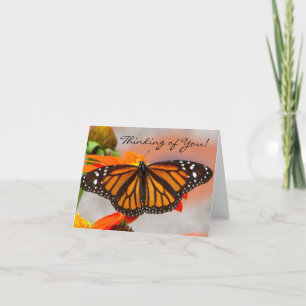 Tarjeta De Agradecimiento Mariposa de monarca que piensa en usted
