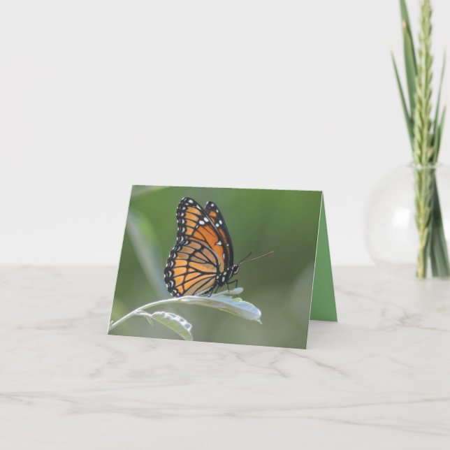 Tarjeta De Agradecimiento Mariposa descansando en una hoja (Anverso)
