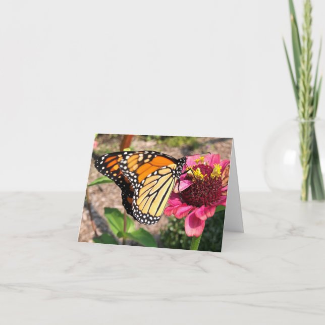 Tarjeta De Agradecimiento Mariposa En El Jardín (Anverso)