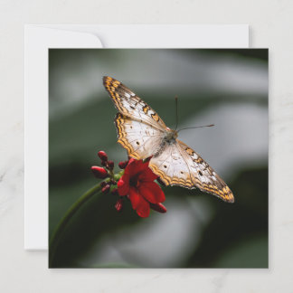 Tarjeta De Agradecimiento Mariposa Gracias