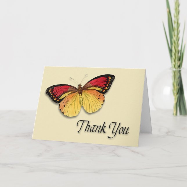Tarjeta De Agradecimiento Mariposa Gracias (Anverso)