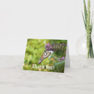 Tarjeta De Agradecimiento Mariposa monarca sobre mariposa morada Bush