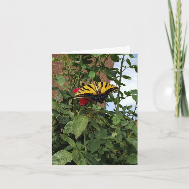 Tarjeta De Agradecimiento Mariposa Monarca: Transformación, Cambio, Esperanz (Anverso)