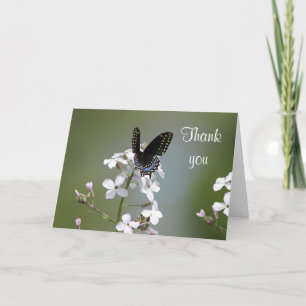 Tarjeta De Agradecimiento Mariposa negra del swallowtail