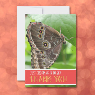 Tarjeta De Agradecimiento Mariposa tropical boca abajo sobre plano de hojas