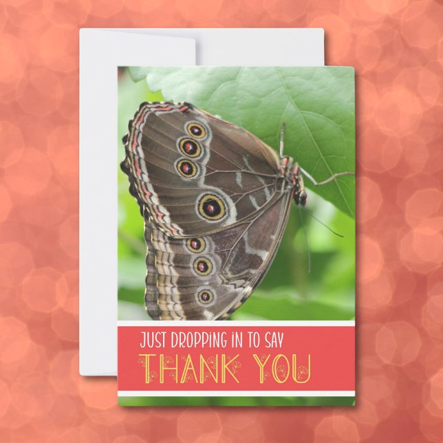 Tarjeta De Agradecimiento Mariposa tropical en la plancha de la fotografía d (Subido por el creador)