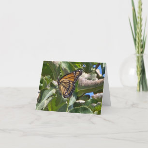 Tarjeta De Agradecimiento Mariposa viceroy