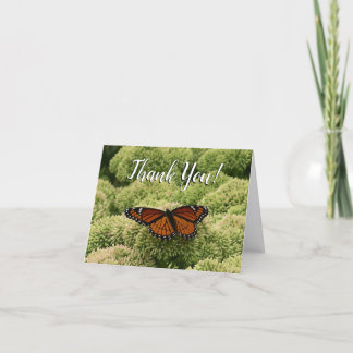 Tarjeta De Agradecimiento Mariposa Viceroy Hermosa Fotografía de la Naturale