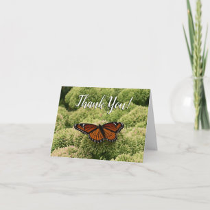 Tarjeta De Agradecimiento Mariposa Virrey Fotografía De Naturaleza Hermosa