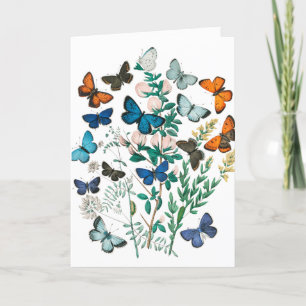 Tarjeta De Agradecimiento Mariposas/Flores Vintage Artea tu Texto, Blanco