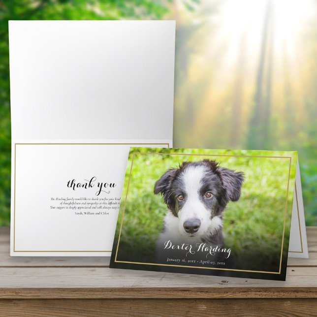 Tarjeta De Agradecimiento Mascota de la pérdida de la simpatía de la foto de (Pet Loss Sympathy Photo Elegant Gold Thank You Card)