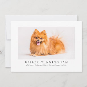 Tarjeta De Agradecimiento Mascota Fotográfico Moderno Y Simple Gracias Enfer