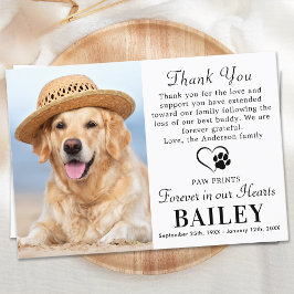 Tarjeta De Agradecimiento Mascota Memorial Dog Loss Moderna Photo Sympathy