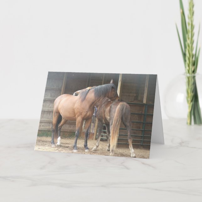 Tarjeta De Agradecimiento Me Arrasas La Espalda... (Anverso)