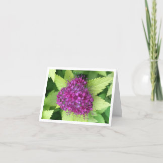 Tarjeta De Agradecimiento Meadowdulce japonés