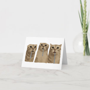 Tarjeta De Agradecimiento Meme de Gatos Tontos con Triple Baba