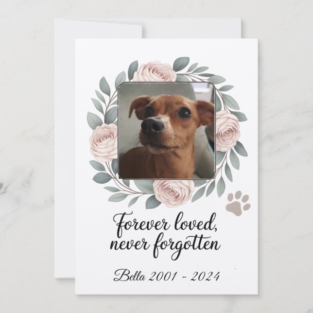 Tarjeta De Agradecimiento Memorial de Mascota Amada para Siempre, Nunca Olvi (Anverso)