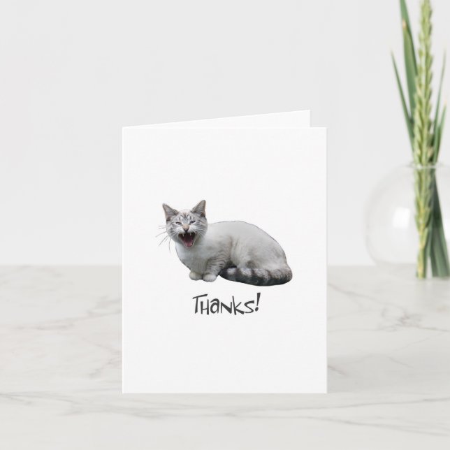 Tarjeta De Agradecimiento Meowing Cat Gracias (Anverso)