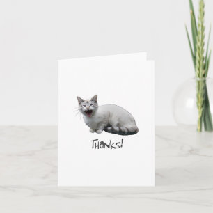 Tarjeta De Agradecimiento Meowing Cat Gracias