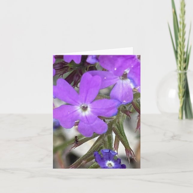 Tarjeta De Agradecimiento Mildred La Hormiga 🐜 Asoma (Anverso)