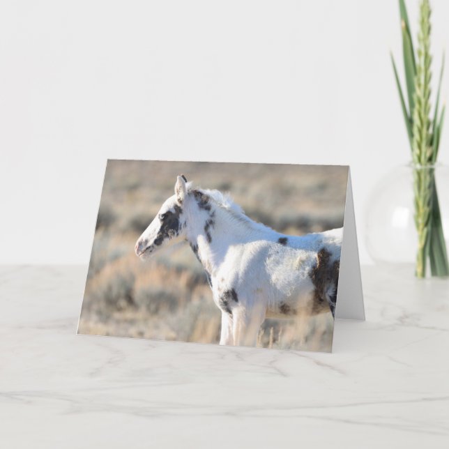 Tarjeta De Agradecimiento Miles de picos de McCullough (Anverso)