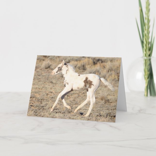 Tarjeta De Agradecimiento Miles de picos de McCullough (Anverso)