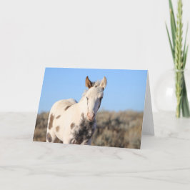 Tarjeta De Agradecimiento Miles de picos de McCullough