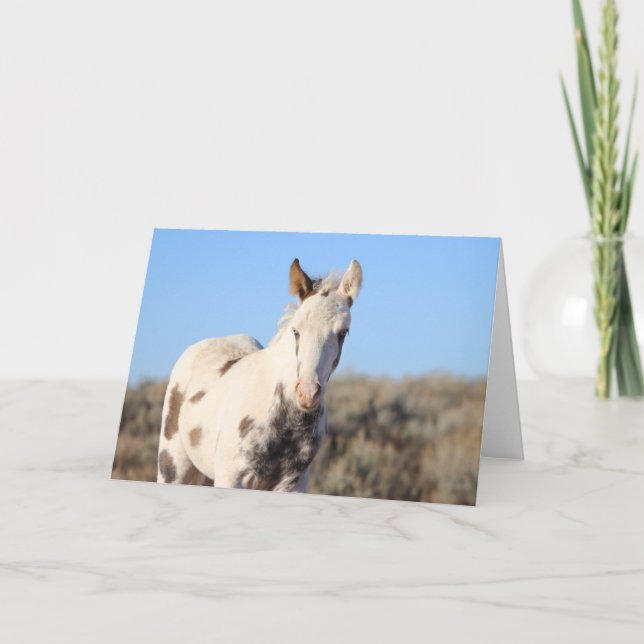 Tarjeta De Agradecimiento Miles de picos de McCullough (Anverso)